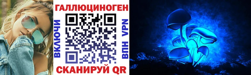 Купить где  Подпорожье  Псилоцибиновые грибы Cubensis 